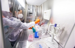 Nhiều nước đặt mua vaccine phòng bệnh đậu mùa khỉ của hãng Bavarian Nordic