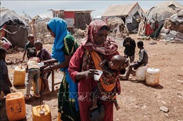 Cảnh báo nạn đói nghiêm trọng tại vùng Sừng châu Phi
