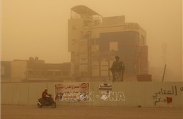 Bão cát ở Iraq khiến hơn 1000 người nhập viện