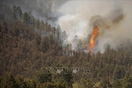 Tổng thống Mỹ tuyên bố tình trạng thảm họa tại bang New Mexico do cháy rừng