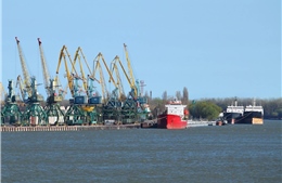 Thổ Nhĩ Kỳ đánh giá cao dự án tuyến đường biển xuất khẩu nông sản của Ukraine