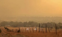 Nguy cơ cháy rừng lan rộng tại bang New Mexico của Mỹ