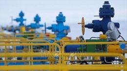 Gazprom: Việc cung cấp khí đốt cho châu Âu qua Ukraine vẫn ổn định 