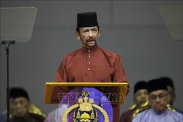 Brunei cải tổ nội các, thay đổi một loạt bộ trưởng
