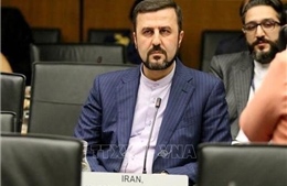 Iran hối thúc IAEA không &#39;chính trị hóa&#39; chương trình hạt nhân