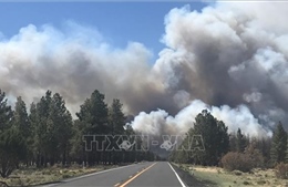 Mỹ: Đám cháy ở bang Arizona lan rộng, thiêu rụi hơn 110 km2 rừng