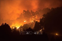 Tây Ban Nha: Cháy rừng thiêu rụi hơn 1.000 ha tại vùng Catalonia