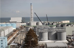 Tòa án khẳng định Chính phủ Nhật Bản không phải chịu trách nhiệm trong sự cố hạt nhân Fukushima