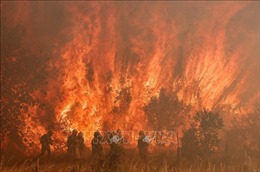 Cộng hòa Séc ban hành cảnh báo quốc gia về hỏa hoạn do nắng nóng