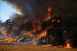 Cháy rừng bùng phát tại Thổ Nhĩ Kỳ