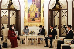 Phó Chủ tịch nước Võ Thị Ánh Xuân hội kiến Thủ tướng Thái Lan