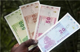 Lo ngại siêu lạm phát, Zimbabwe nâng lãi suất lên mức cao nhất thế giới