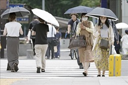 Nhật Bản: Thủ đô Tokyo trải qua đợt nắng nóng tồi tệ nhất trong 150 năm qua