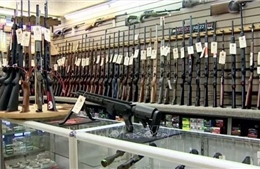 Ủy ban Hạ viện Mỹ yêu cầu các lãnh đạo công ty sản xuất súng điều trần