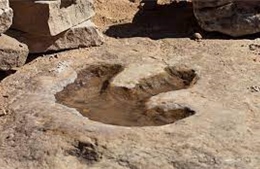 Phát hiện các vết chân khủng long hóa thạch tại vùng Nội Mông