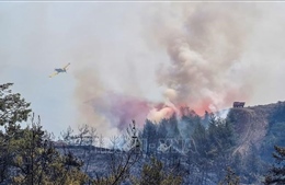Cháy rừng ở Thổ Nhĩ Kỳ khiến hàng nghìn người phải sơ tán 