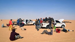Hàng chục người di cư được giải cứu trên sa mạc ở Nigeria