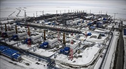 Lượng khí đốt hướng Đông qua đường ống Yamal - Europe tăng cao