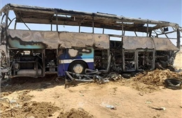 Ai Cập: Xe buýt tông vào đuôi xe tải, hơn 50 người thương vong