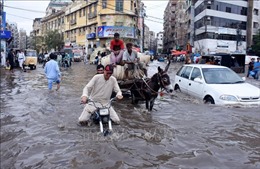Thành phố lớn nhất của Pakistan bị tê liệt do mưa lớn