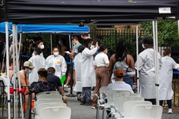 New York ban bố tình trạng khẩn cấp do bệnh đậu mùa khỉ