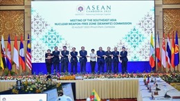 Đẩy mạnh thực thi Hiệp ước Khu vực Đông Nam Á không có vũ khí hạt nhân