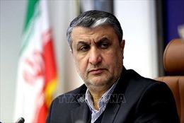 Iran khẳng định không có ý định chế tạo bom nguyên tử