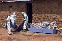 Trường hợp tử vong thứ 3 tại Ghana do virus Marburg
