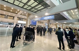 Hàn Quốc cấp thị thực thực tập lĩnh vực công nghệ cao cho sinh viên nước ngoài