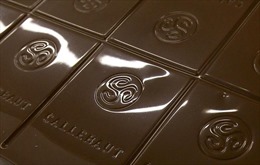 Nhà máy chocolate lớn nhất thế giới hoạt động trở lại sau bê bối khuẩn salmonella
