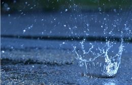 Nghiên cứu khoa học: Nước mưa không an toàn để uống