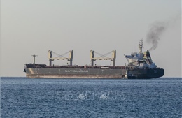 Thêm 2 tàu chở ngũ cốc rời Ukraine
