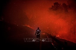 Cháy rừng tái bùng phát tại miền Nam nước Pháp
