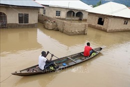 Nigeria: Lũ lụt nghiêm trọng phá huỷ hàng nghìn ngôi nhà, làm ít nhất 50 người thiệt mạng 