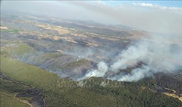 Cháy rừng vẫn chưa hạ nhiệt tại Tây Ban Nha