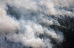 Khói do cháy rừng lan đến Moskva