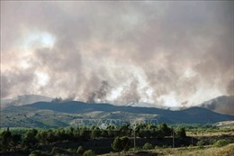 Cháy rừng tiếp tục nghiêm trọng tại Tây Ban Nha