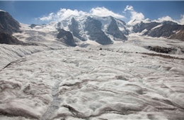 Thể tích các sông băng Thụy Sĩ giảm 50% kể từ năm 1931