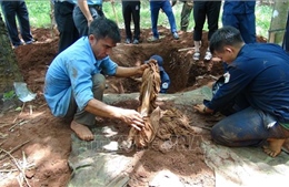 Tìm thấy 3 hài cốt liệt sĩ tại huyện Hớn Quản, tỉnh Bình Phước