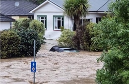 New Zealand: Cảnh báo lũ lụt gây thiệt hại tương đương với động đất