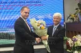 Đẩy mạnh quan hệ hợp tác kinh tế giữa Việt Nam và Slovakia