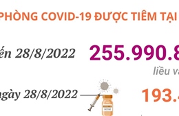 Hơn 255,99 triệu liều vaccine phòng COVID-19 đã được tiêm tại Việt Nam