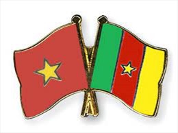 Điện mừng kỷ niệm thiết lập quan hệ ngoại giao Việt Nam - Cameroon