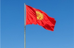 Điện mừng nhân dịp 31 năm Quốc khánh nước Cộng hòa Kyrgyz 