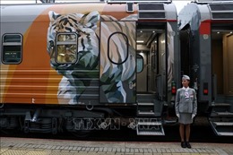 Độc đáo đoàn tàu tuyên truyền nhận thức về việc bảo vệ loài hổ tại LB Nga