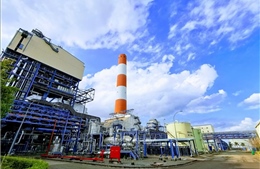 EVN làm chủ đầu tự dự án Nhà máy Nhiệt điện Ô Môn III trị giá 1,19 tỷ USD tại Cần Thơ
