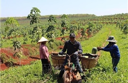 Bình Phước: Người dân đồng lòng xây dựng nông thôn mới nâng cao