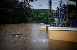 Australia: Ngập lụt nghiêm trọng ở bang Queensland