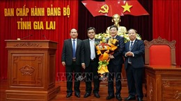 Thứ trưởng Bộ Nội vụ Trương Hải Long giữ chức Phó Bí thư Tỉnh ủy Gia Lai