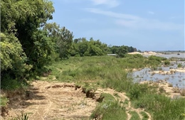 Phú Yên: Bờ sông Ba sạt lở nghiêm trọng